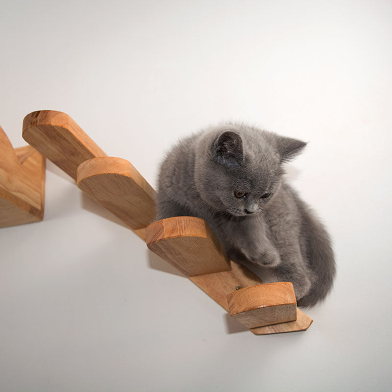 Cats Climbing Ladders On Solid Wood Walls, Rubber Wood Springboards And Stair Toys